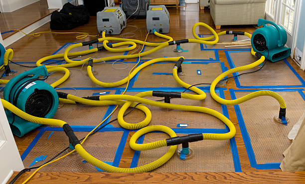 Professional Sewage Cleanup technician working in Westlake, TX